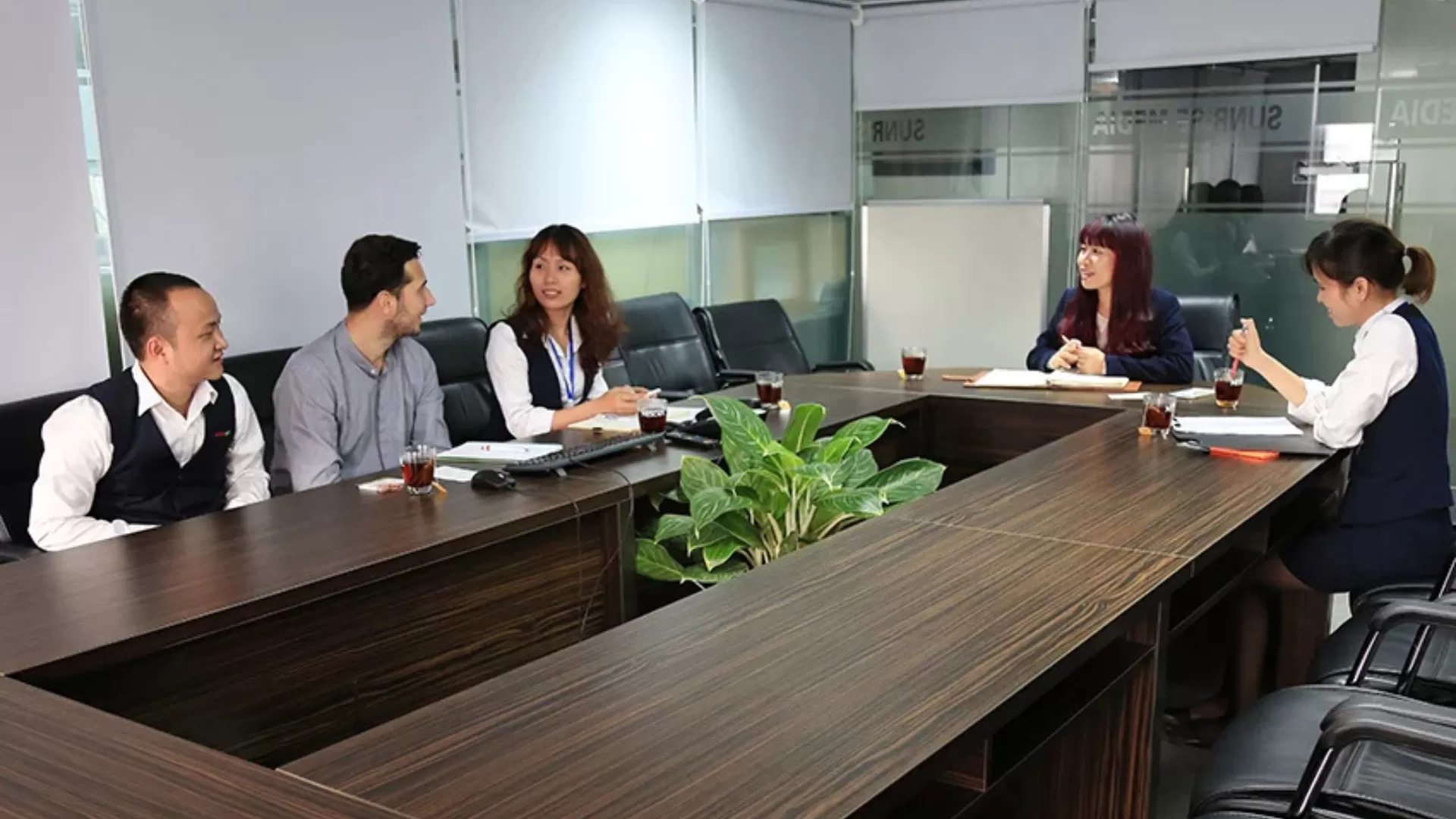 Sunrise Media Signs International Dubbing Partnership for Vietnamese Animation Library